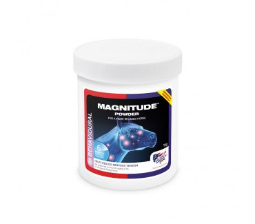 Magnitude